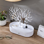 Eleganter Schmuck-Organizer – Schluss mit dem Chaos