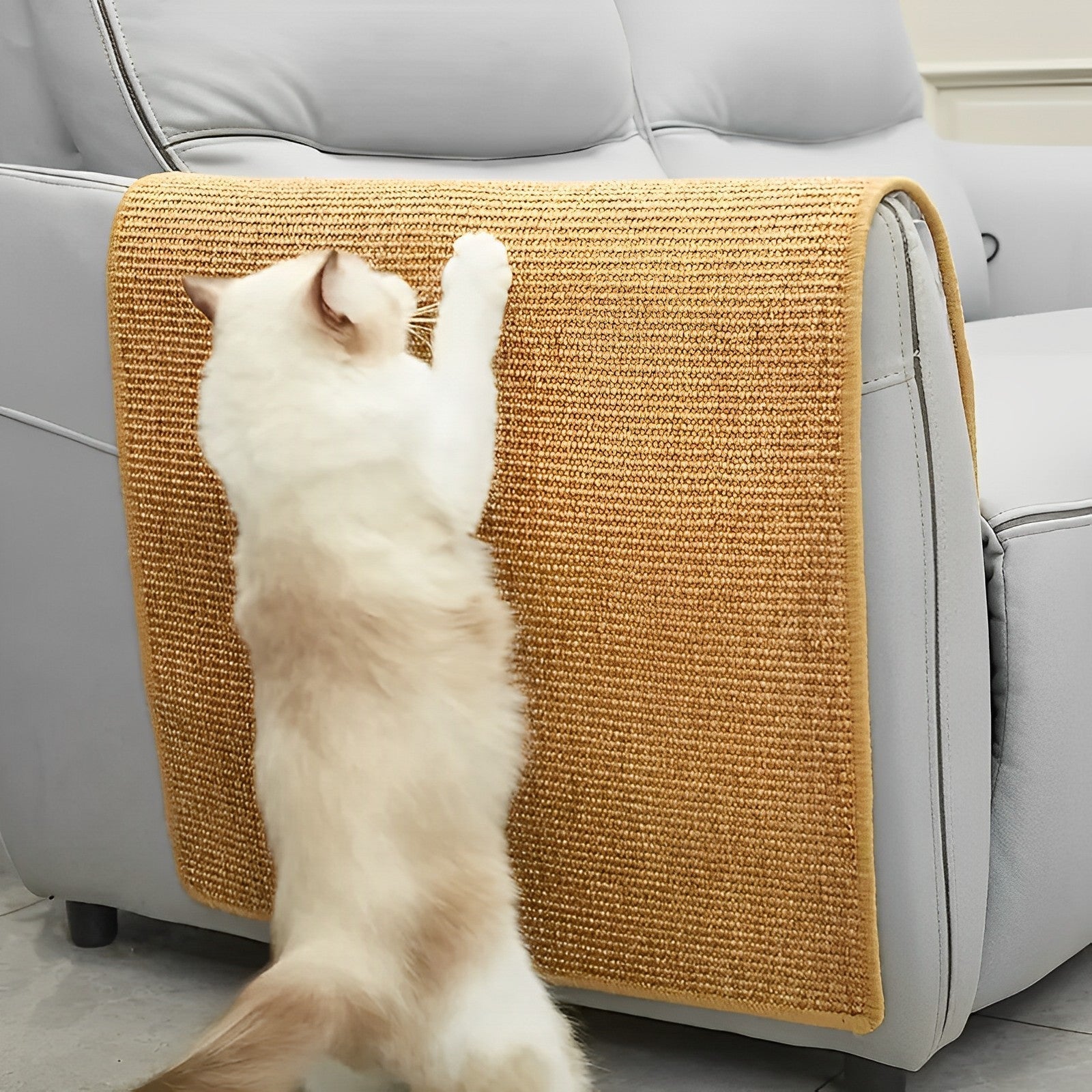 Katzenschutz – Ihre Möbel sicher und Ihre Katze glücklich