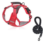 Safe and comfortable dog harness for relaxed walks