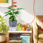 Automatischer Blumentopf – Nie wieder austrocknen