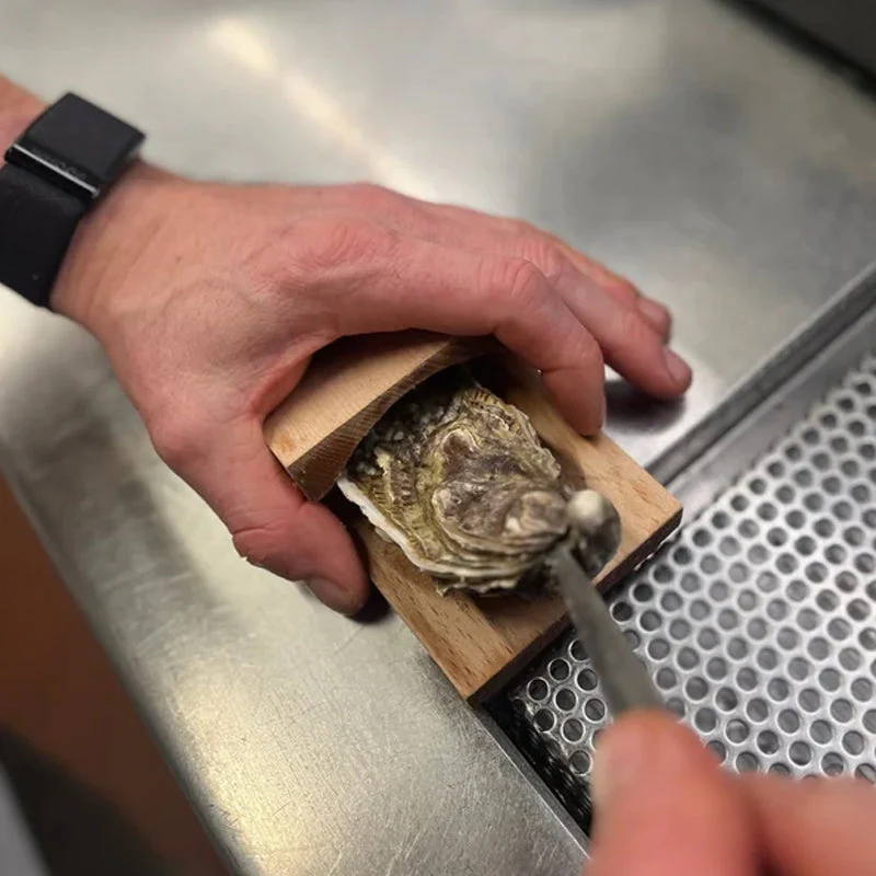 OysterMaster – Ultimatives Austernöffner-Set für müheloses Öffnen