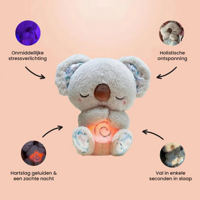 Wellness Companion – Relaxation for the Whole Family