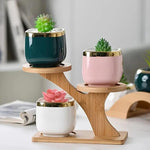 Three-Tier Bamboo Plant Stand – Tree-Shaped Display for Indoor Plants