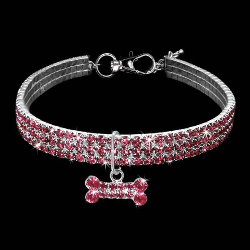 Sparkling Canine Friendship: Stylish Collar