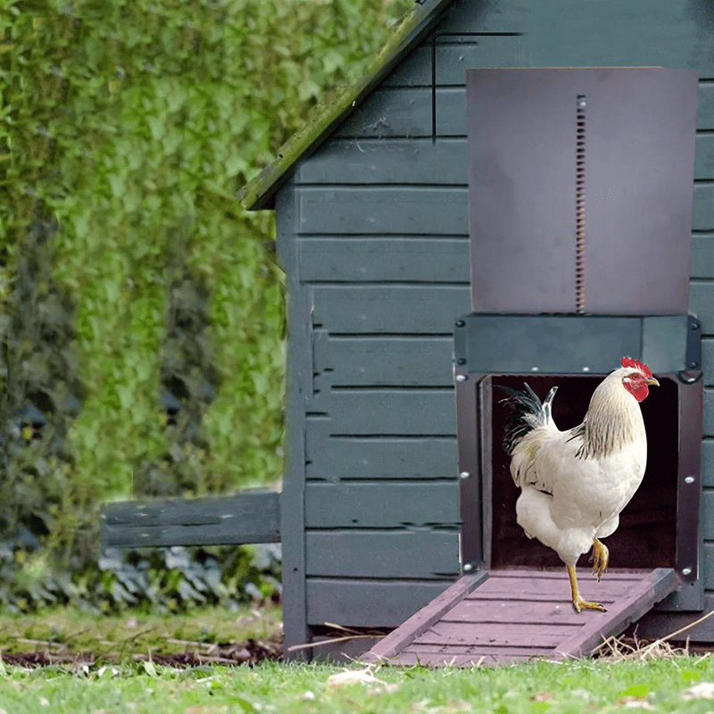 Automatic Chicken Coop Door for More Security and Convenience