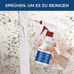 Cleaning Foam against Mold