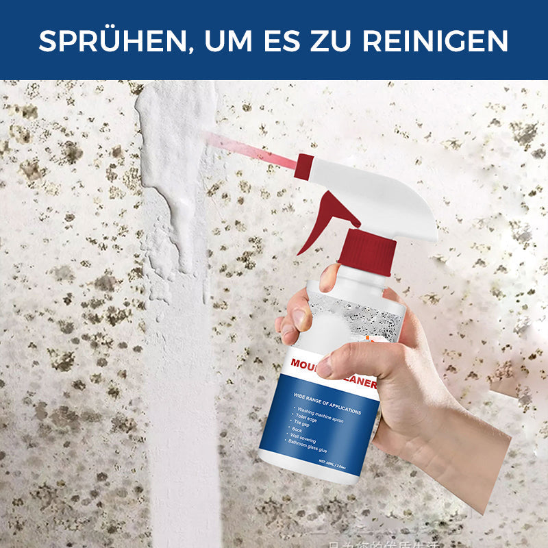 Cleaning Foam against Mold