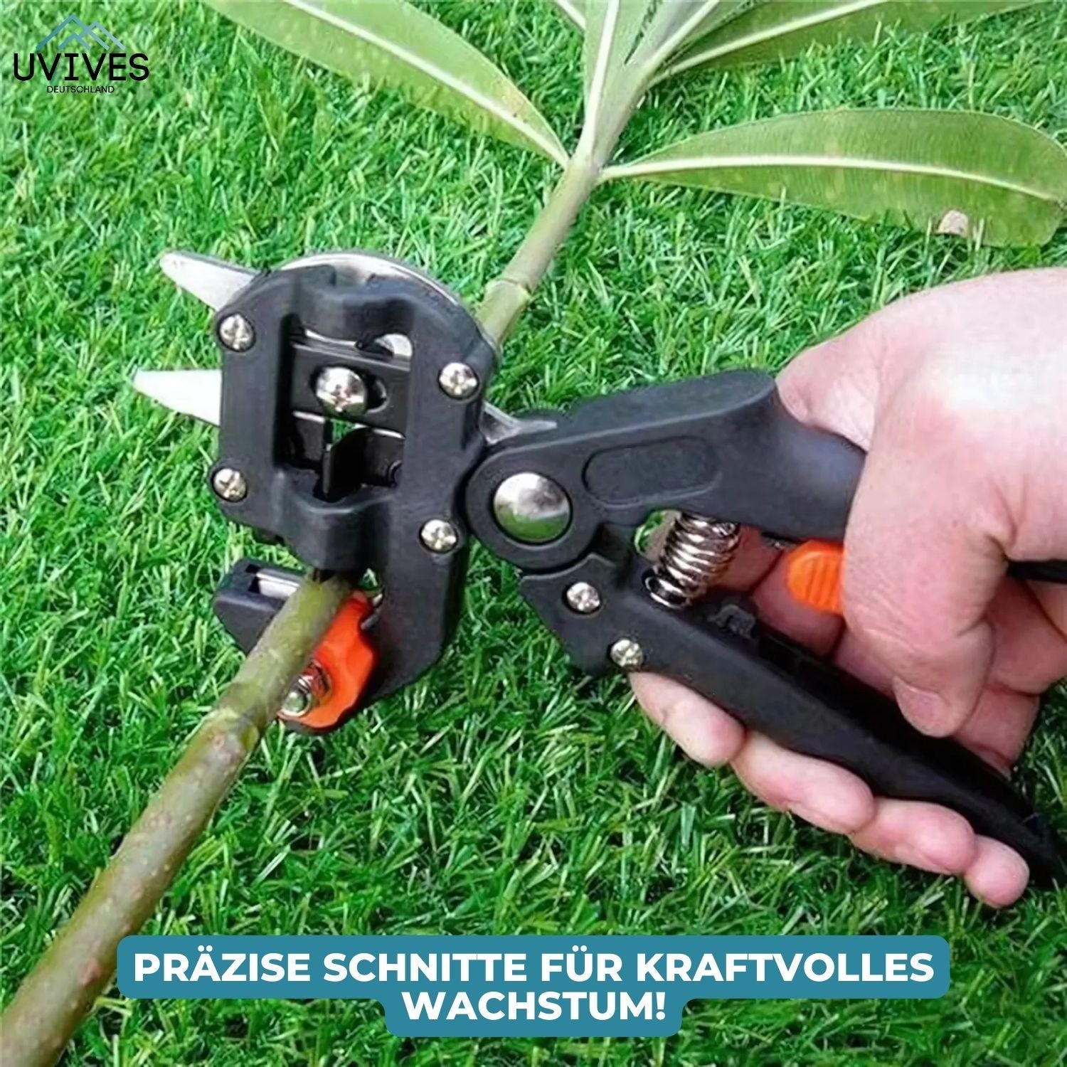 GartenMeister - 2-in-1 Veredelungs- und Schnittschere für Pflanzen