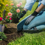 KneeShield – For pain-free gardening and more