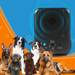 Ultraschallgerät zur Kontrolle von Hundebellen