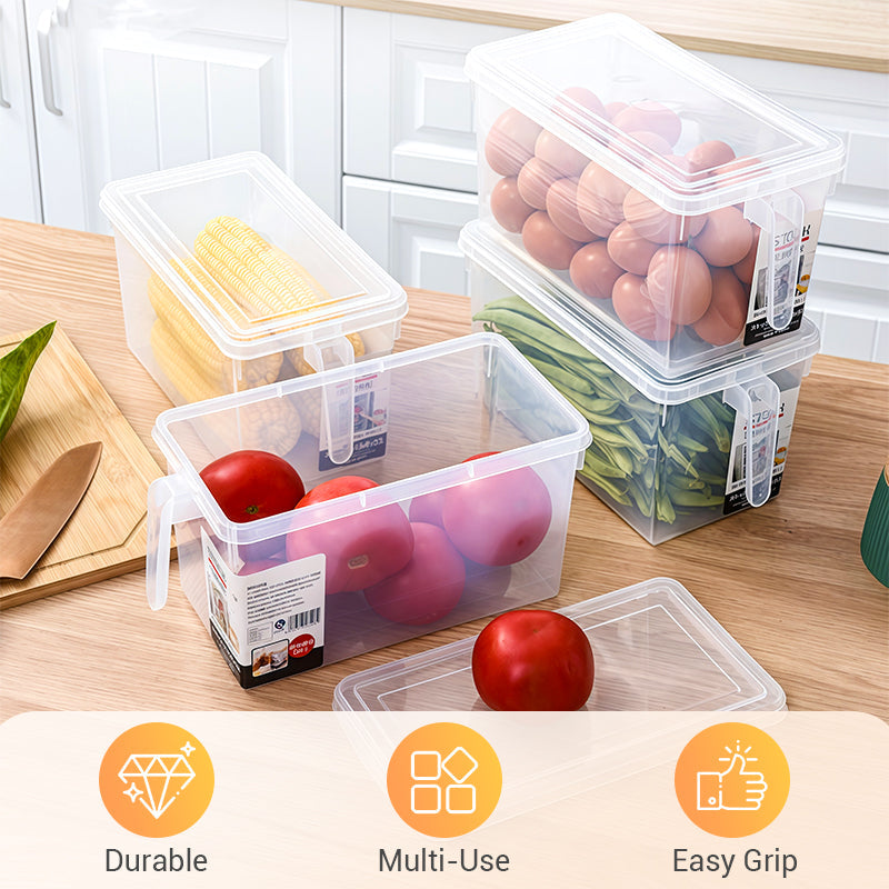 Transparent storage container with practical lid