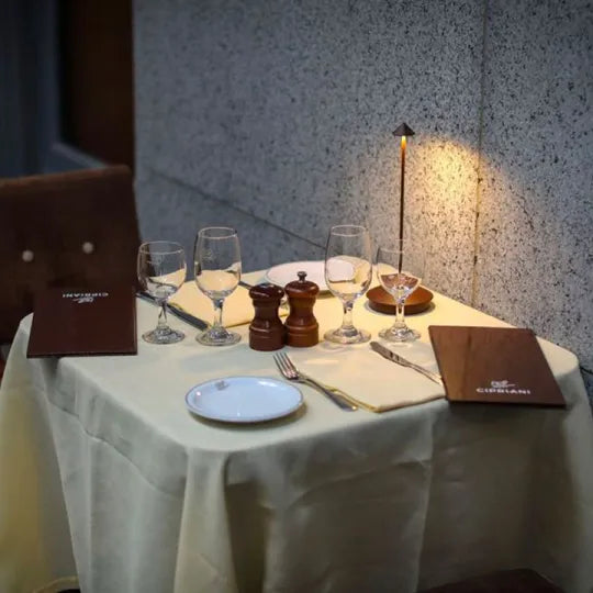 Cordless LED Table Lamp – AuraLight