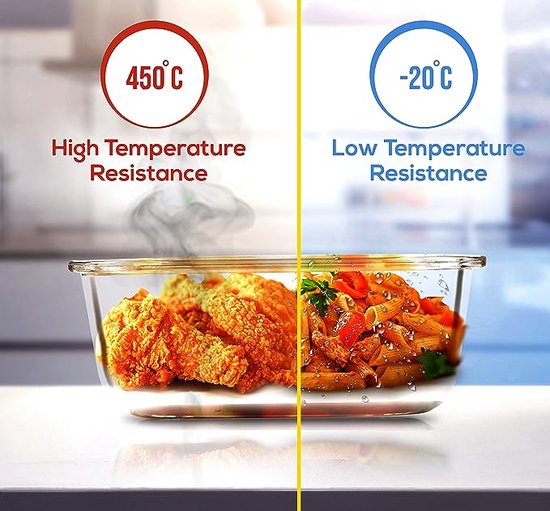 EcoBox | Hitzebeständige Glas-Lunchbox für alle Gelegenheiten