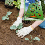 GartenHelix - Optimale Anordnung für üppige Ernten