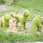 Lebendige Gartenverzierung – Verwandeln Sie Ihren Außenbereich!
