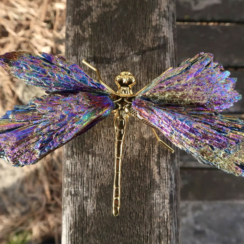 Dragonfly in Tourmaline and Kyanite