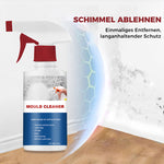 Cleaning Foam against Mold