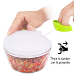Manual vegetable chopper