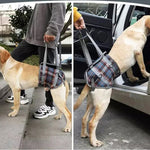 Support harnesses for dogs with hind leg weakness