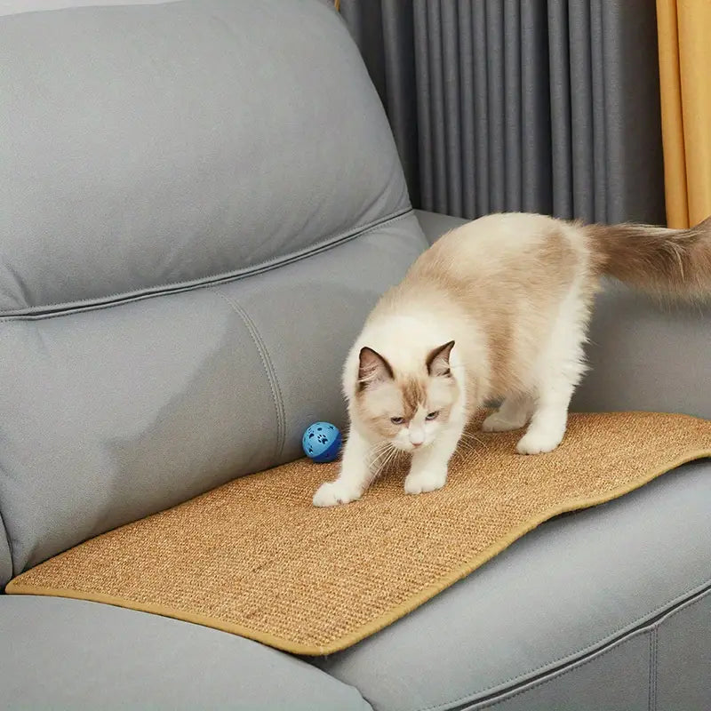 Katzenschutz – Ihre Möbel sicher und Ihre Katze glücklich
