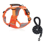Safe and comfortable dog harness for relaxed walks