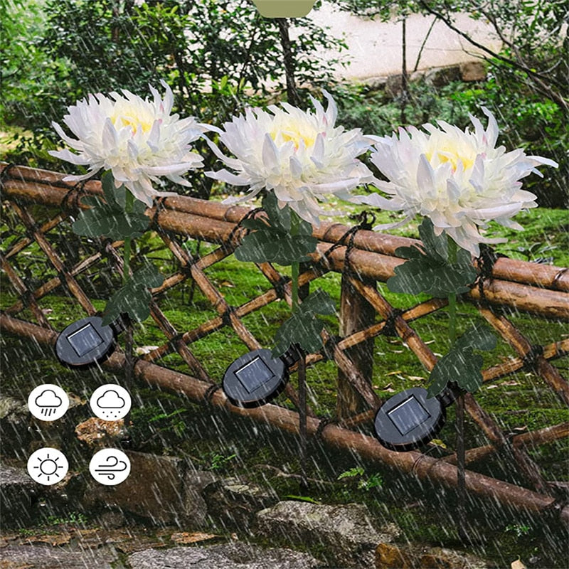 Sonnenblüten – Verleihen Sie Ihrem Garten mit Solarlichtern Leben
