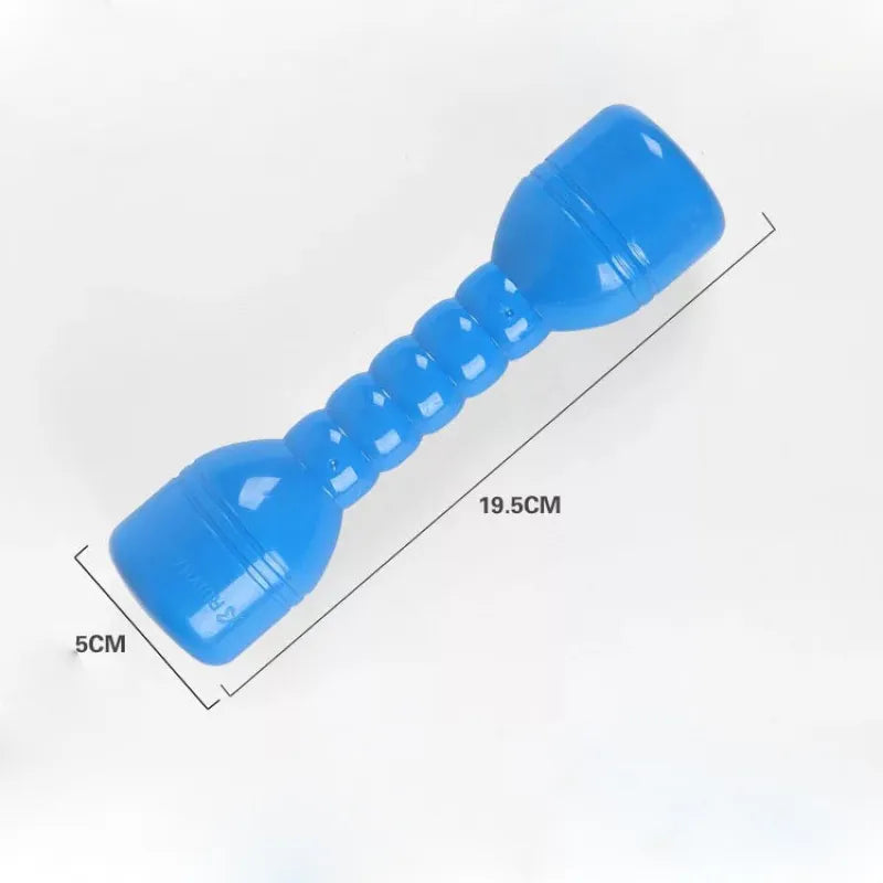 Lightweight Fitness Toys: Colorful Dumbbells for Kids