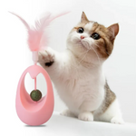 Interactive Catnip Toy for Healthy Activity