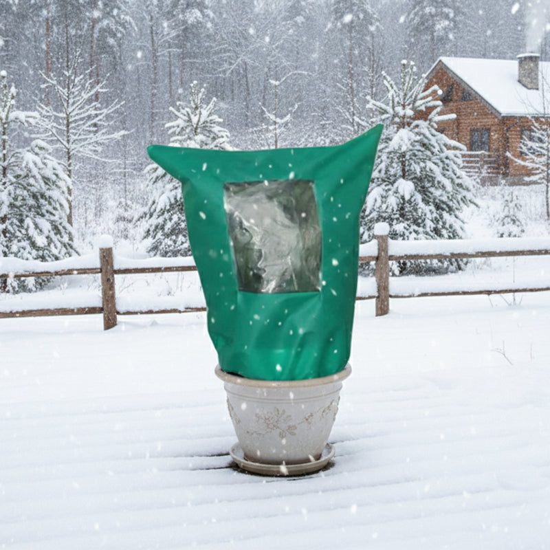 WinterSchutz für Pflanzen – Optimaler Schutz gegen Kälte