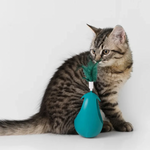 Katzenminze Ball Kipp-Spielzeug