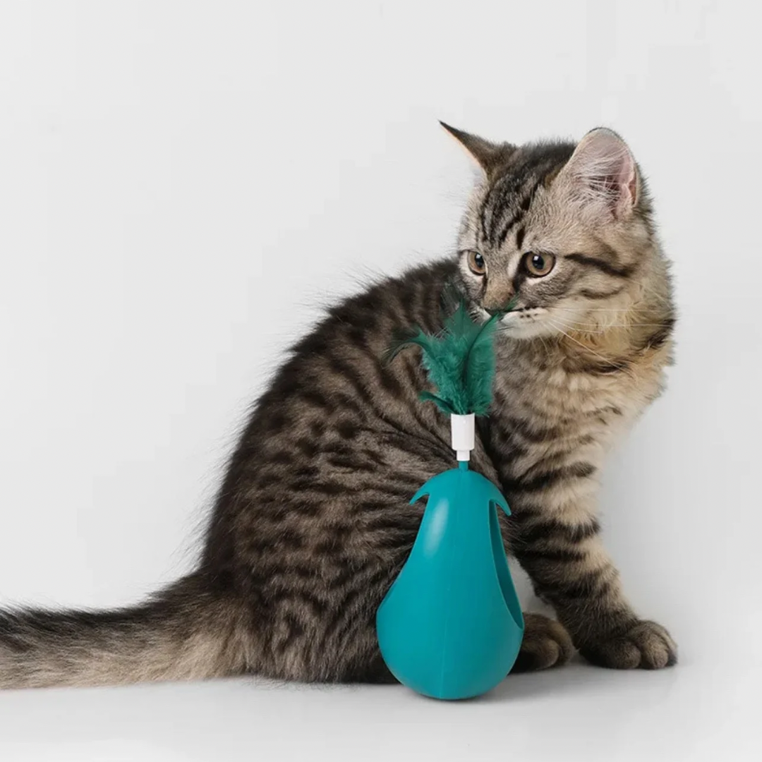 Katzenminze Ball Kipp-Spielzeug
