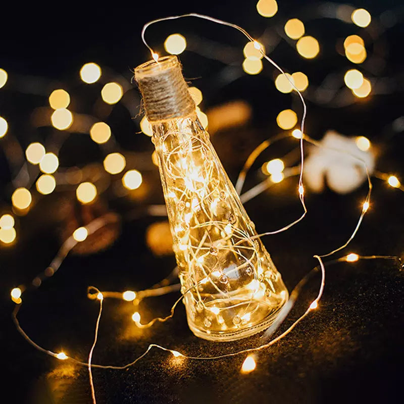 Decorative Copper Wire String Lights with USB Connection