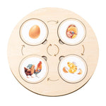 Educational wooden puzzle to promote understanding of the life cycle