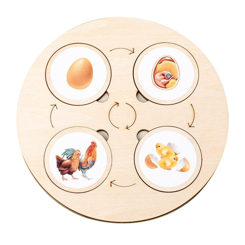 Educational wooden puzzle to promote understanding of the life cycle