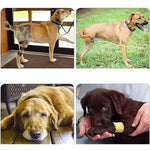 Support harnesses for dogs with hind leg weakness
