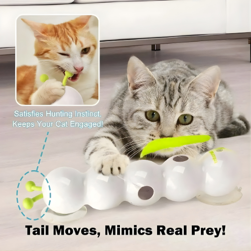 Interactive Wall Toy for Cats to Encourage Activity