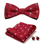 Elegantes Set mit stilvollen Fliegen und Accessoires