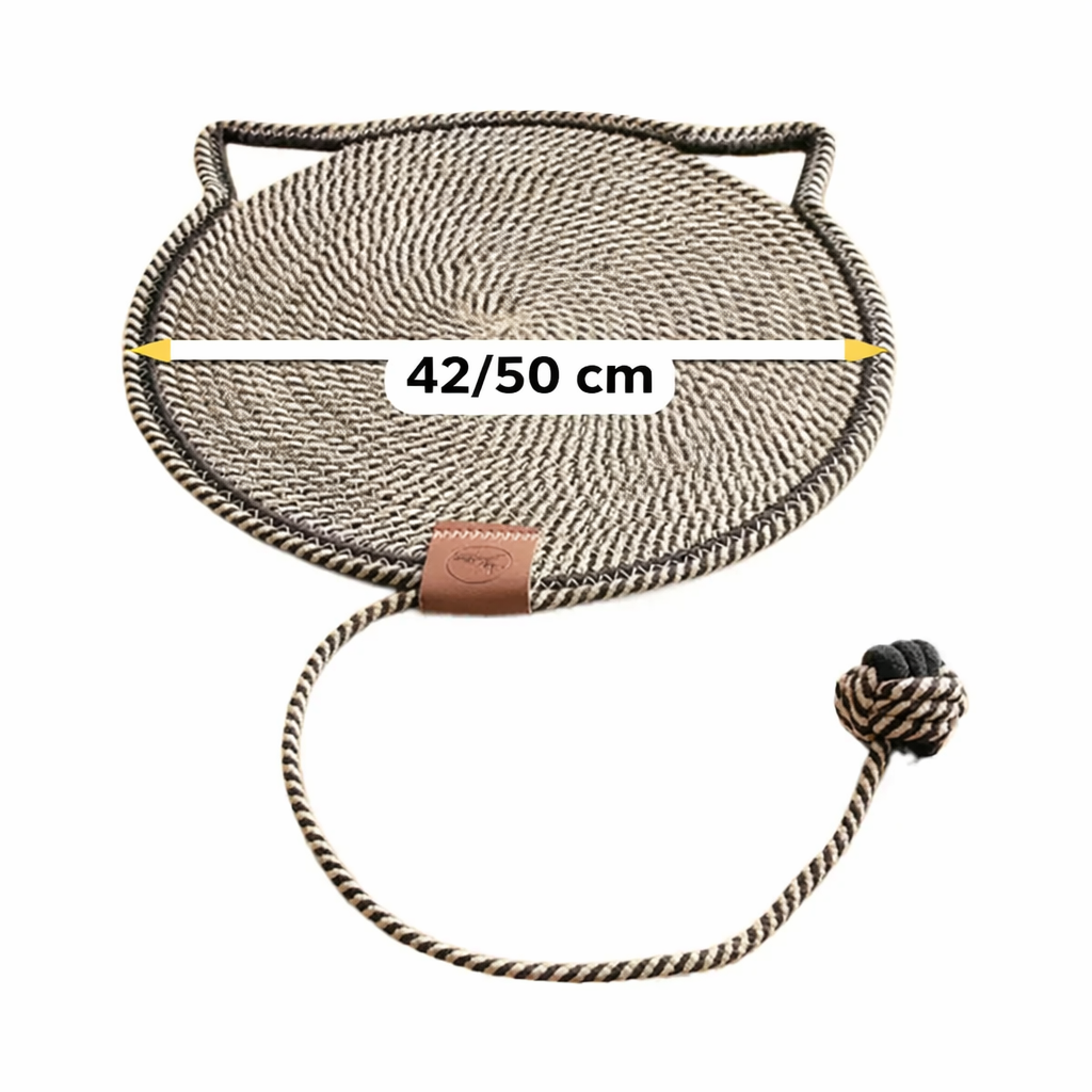 2-in-1 Kratzteppich und Spielmatte für Katzen