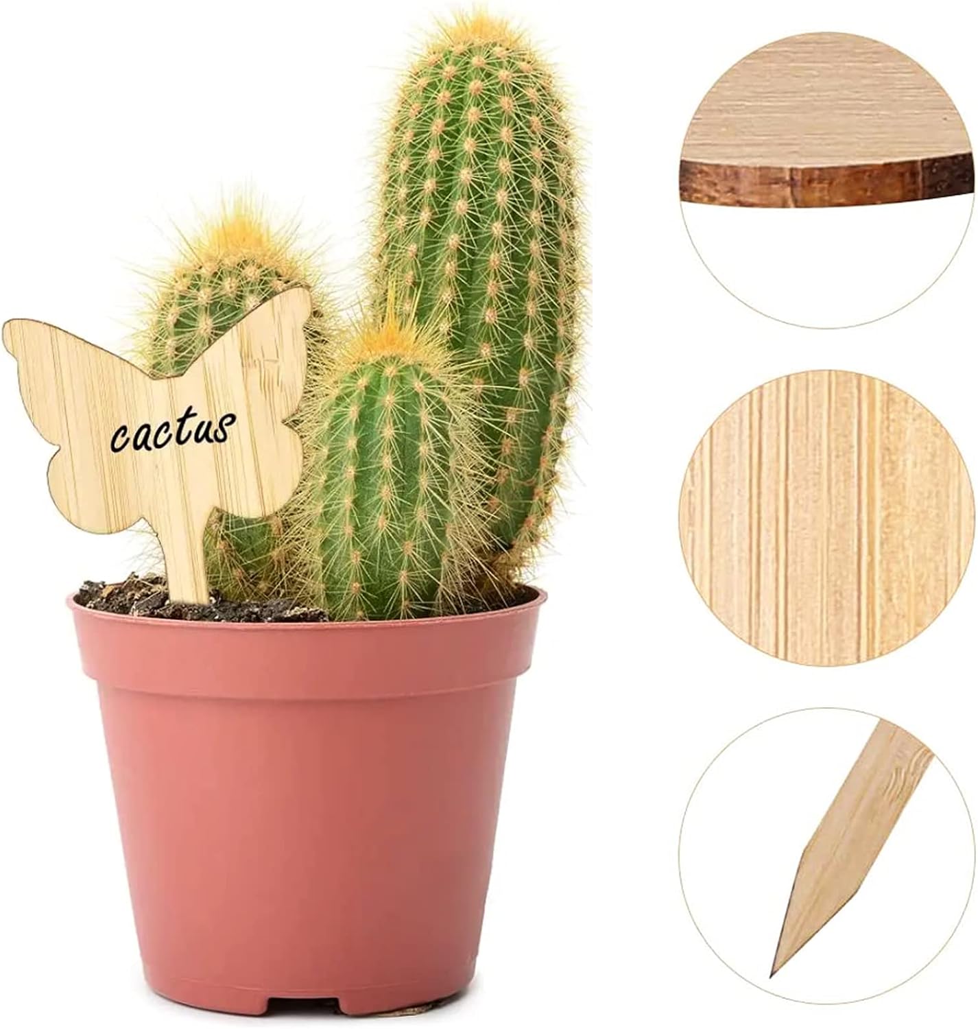 Pflanzenpflege leicht gemacht mit flexiblen Holzmarkierungen