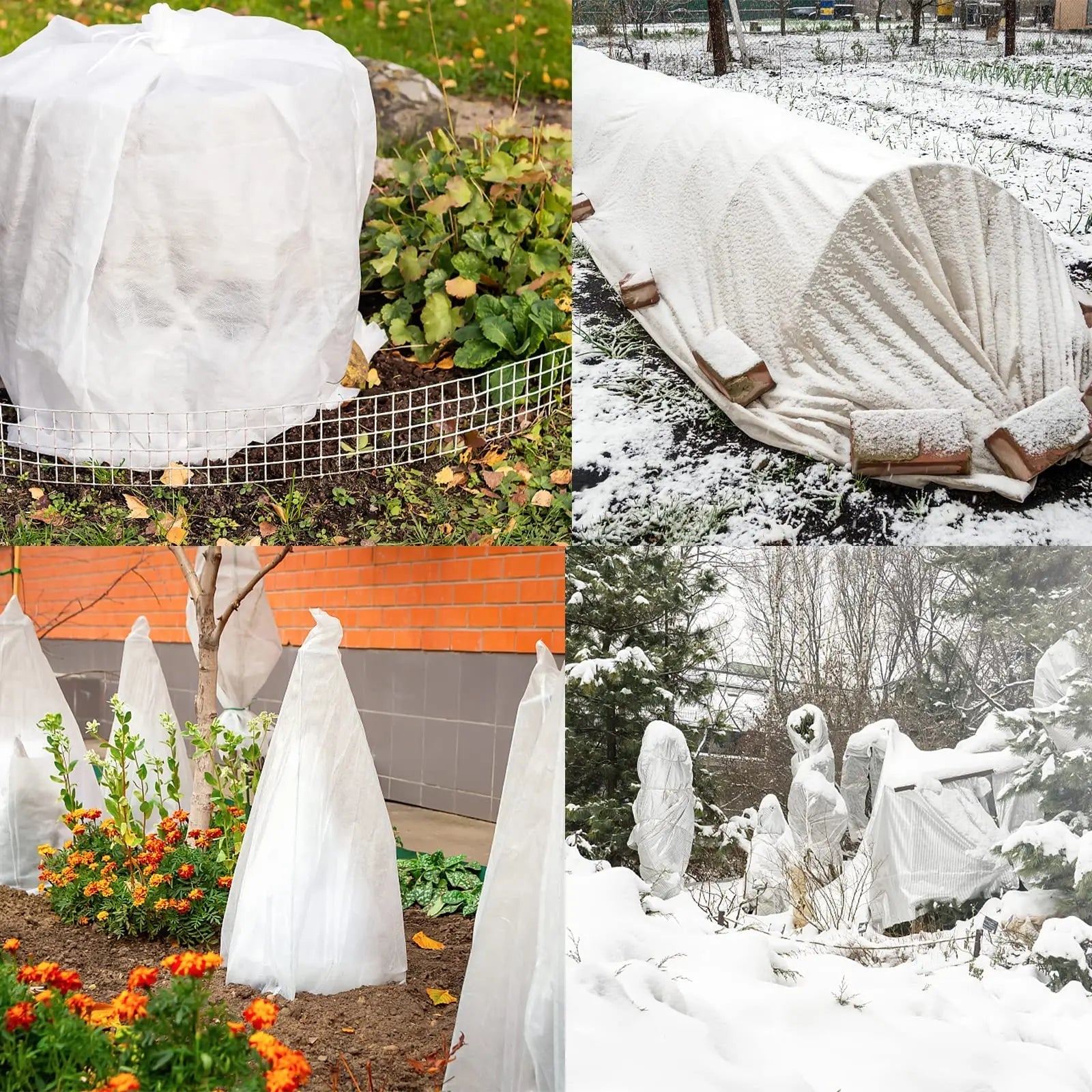 PflanzenWächter Pro | Effektiver Schutz vor Frost und Schädlingen