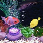 Wasserdichte LED-Lichter mit Fernbedienung und Saugnäpfen