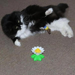 Cat Joy | Interactive Toy for Your Cat