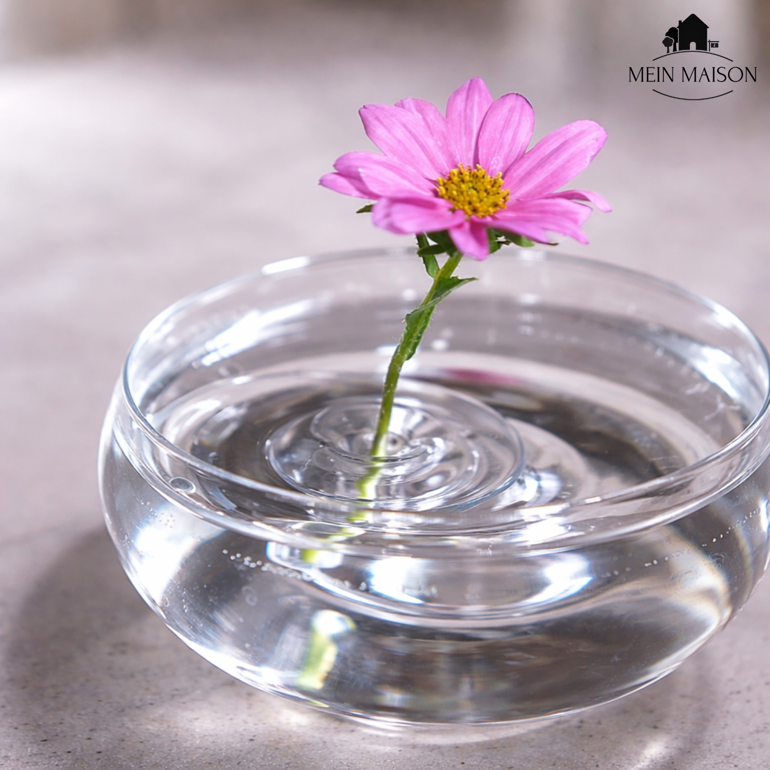 Blütenzauber – Elegante Blumenpräsentation leicht gemacht