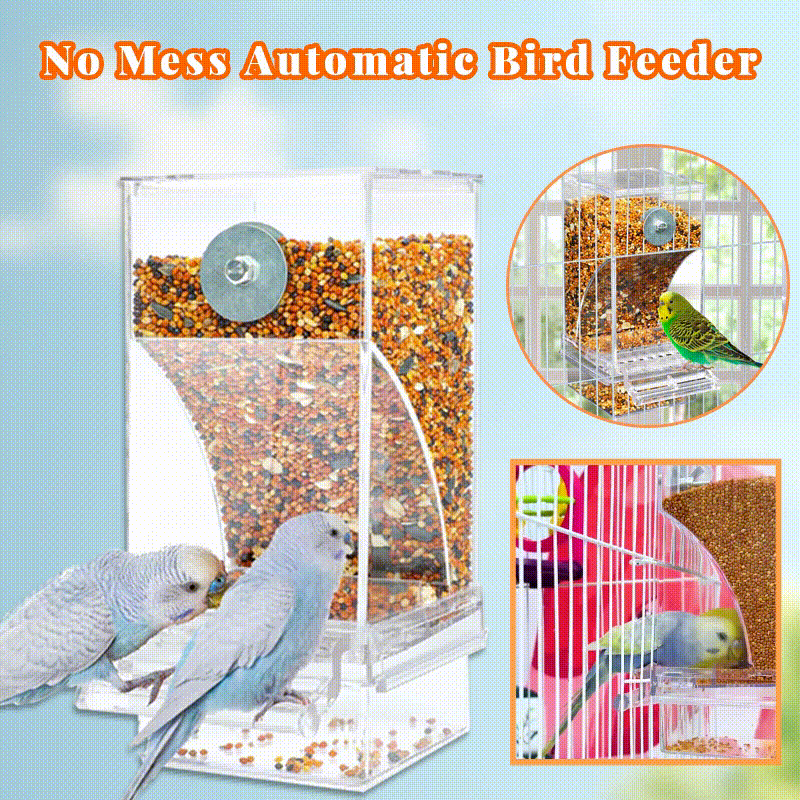 Automatic overflow protection for transparent bird feeders