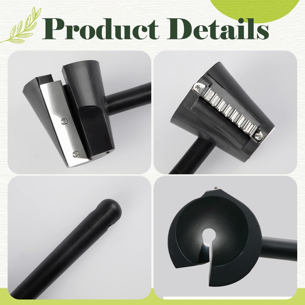 Veggie Wizard | The practical spiralizer for creative dishes