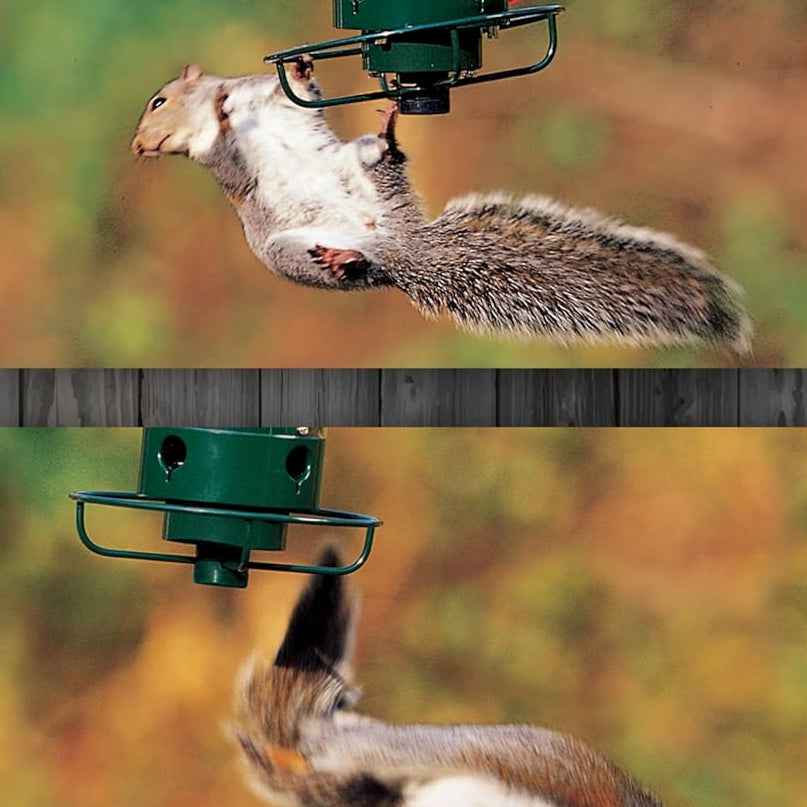 Secure Bird Feeder – Perfect for Your Garden