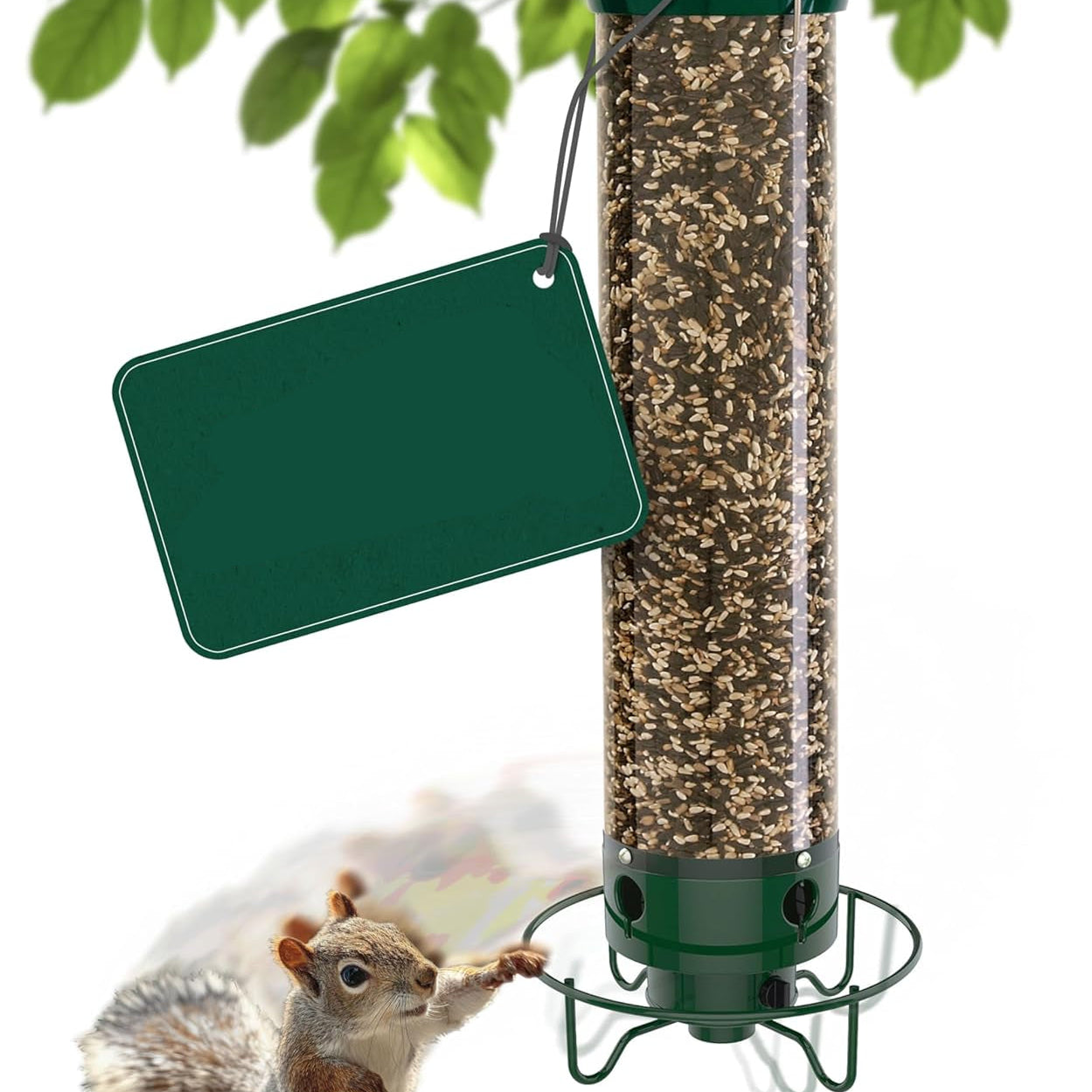 Secure Bird Feeder – Perfect for Your Garden