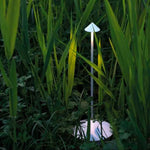 Cordless LED Table Lamp – AuraLight
