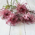 Elegante Kunst-Chrysantheme 38 cm | Realistische 10 cm Blüte