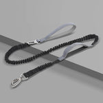 Safe and comfortable dog harness for relaxed walks
